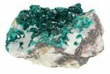 Gemmy, Green Dioptase Crystals On Quartz - Namibia #78692-1